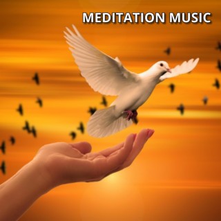 5 Minutes Meditation Music for Sleep Apnea JamieL 5.9