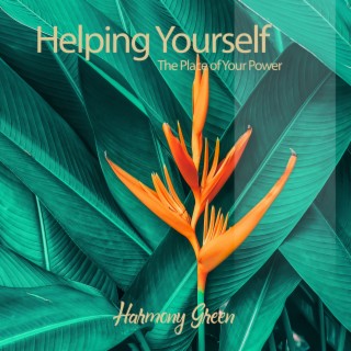 Helping Yourself: The Place of Your Power, Reiki Healing, Om Detox, Om Ambience, Om Energy