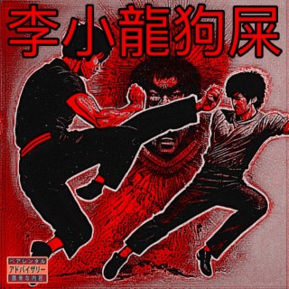 Bruce Lee Shit