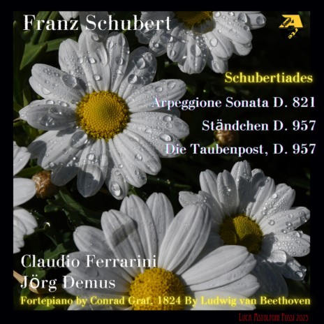 13 Lieder nach Gedichten von Rellstab und Heine, D. 957: No. 14: Die Taubenpost, D. 957 (Arr. for flute by Theobald Böhm) ft. Jörg Demus | Boomplay Music