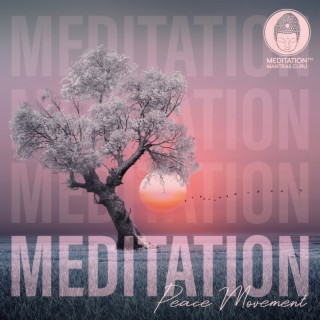 Meditation Peace Movement: Coaching Process Meditation to Connect with Your Inner Child, Mindful Movement