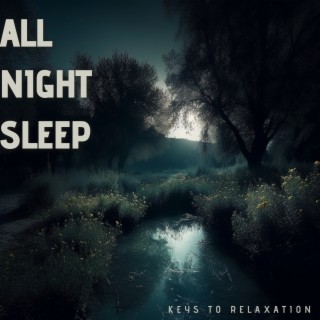 All Night Sleep (Piano and Night Sounds)