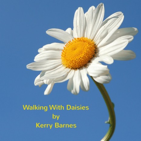 Walking With Daisies