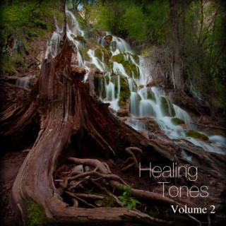 Healing Tones, Vol. 2