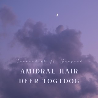 Amidral hair deer togtdog