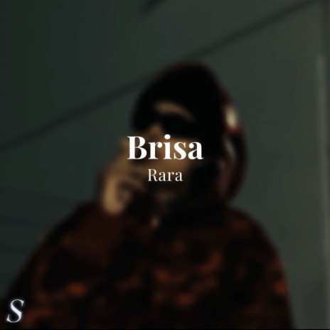 Brisa Rara | Boomplay Music