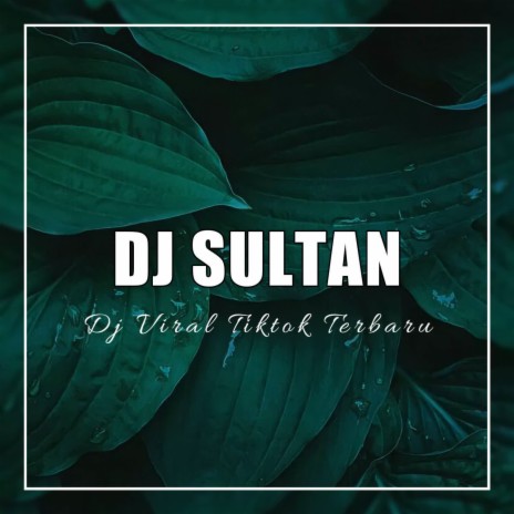 DJ Suara Hijau | Boomplay Music