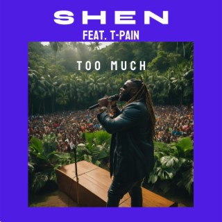 Too Much (feat. T-Pain) (Jungle)