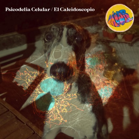 El Kaleidoscopio