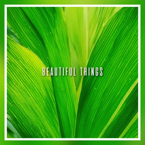 BEAUTIFUL THINGS | Boomplay Music