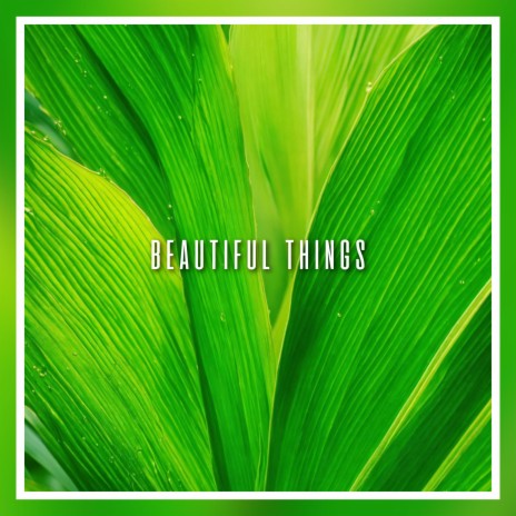 BEAUTIFUL THINGS