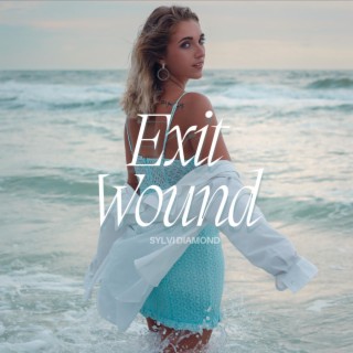 Exit Wound lyrics | Boomplay Music