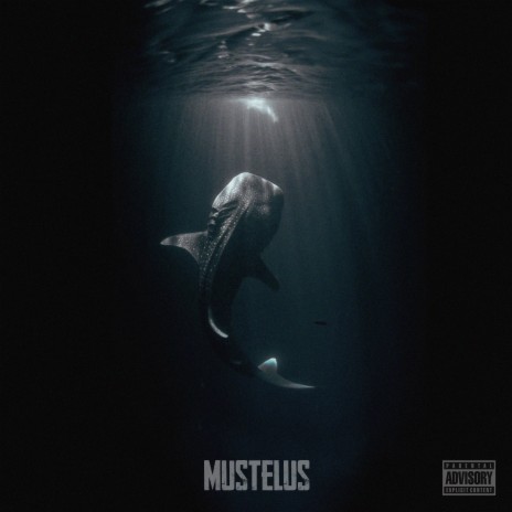 Mustelus | Boomplay Music