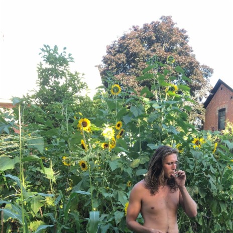 Trapping with the Sunflowers