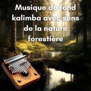 New Age Musique Zen