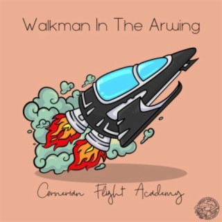 Walkman In The Arwing