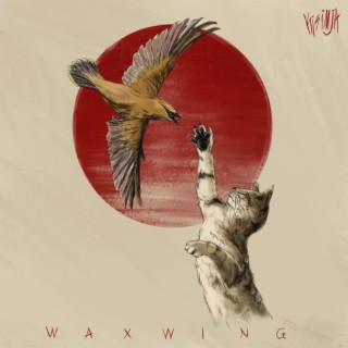 Waxwing