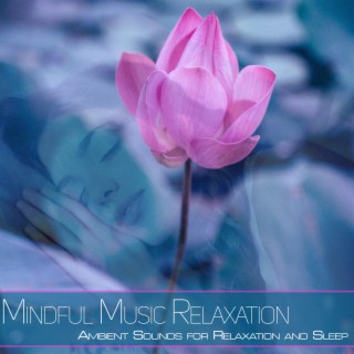 Mindful Music Relaxation: Ambient Sounds for Relaxation and Sleep