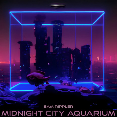Midnight City Aquarium