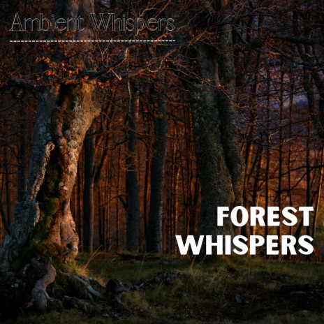 Secret Massage (Forest Sounds) | Boomplay Music