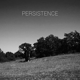 Persistence