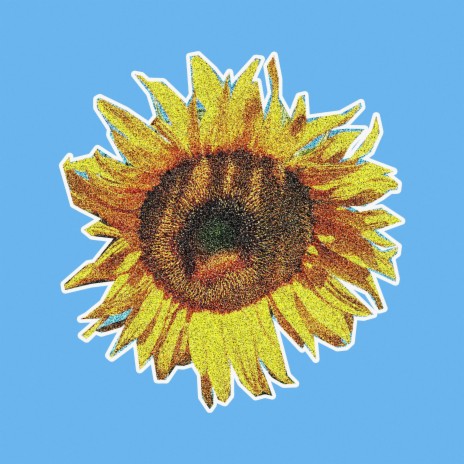 to my sunflower