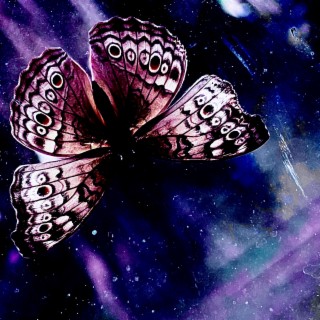 Butterflies lyrics | Boomplay Music