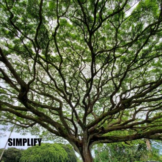 Simplify