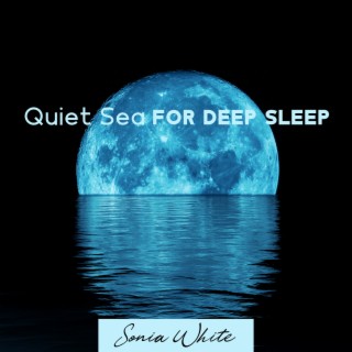 Quiet Sea for Deep Sleep: Calm Instrumental with Soothing Ocean Waves