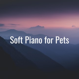 Soft Piano for Pets