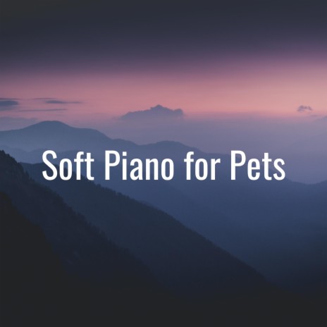 Soft Piano | Boomplay Music