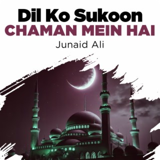 Dil Ko Sukoon Chaman Mein Hai