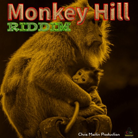 MONKEY HILL RIDDIM | Boomplay Music