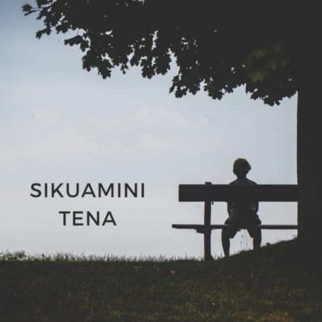 Sikuamini Tena ft. Ting liger & Starnum | Boomplay Music