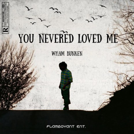 You Never Loved me