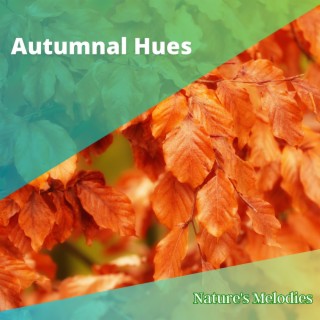 Autumnal Hues