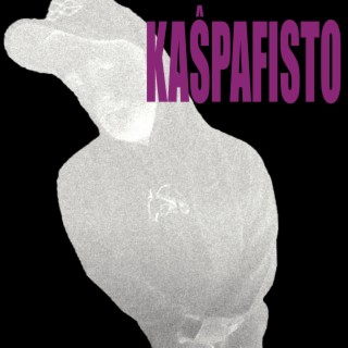 Kaŝpafisto