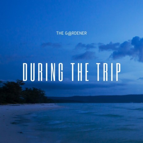 During the Trip | Boomplay Music