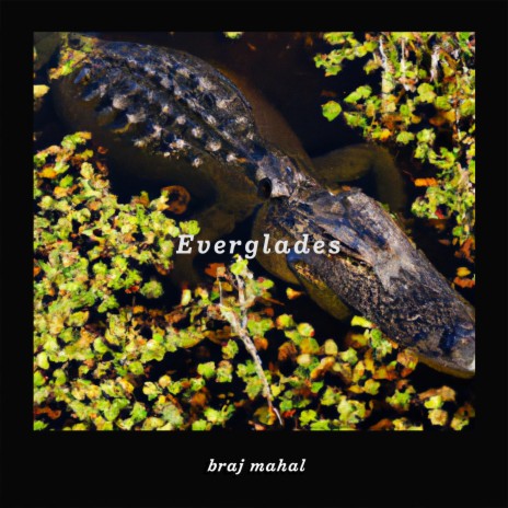 Everglades | Boomplay Music