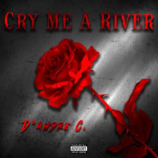Cry Me A River lyrics | Boomplay Music