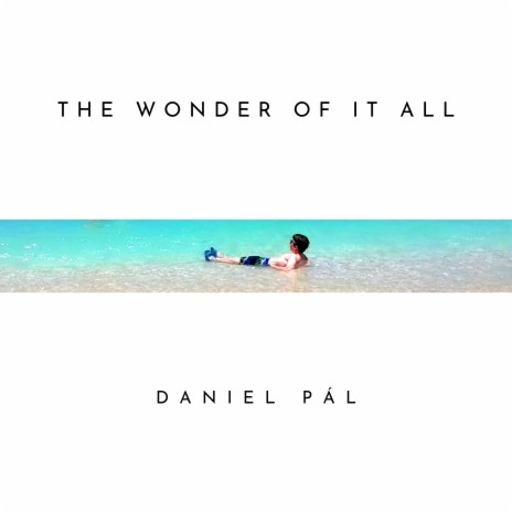 The Wonder Of It All | Boomplay Music