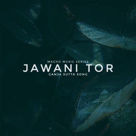 Jawani tor (Live)