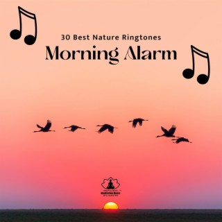 30 Best Nature Ringtones: Morning Alarm with Ocean Waves, Rain & Birds