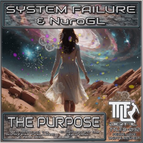 The Purpose ft. NUROGL | Boomplay Music