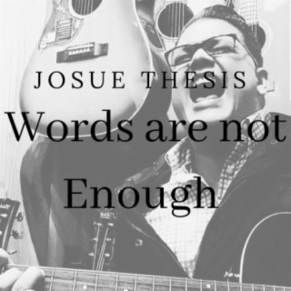 Words Are Not Enough