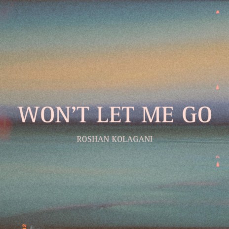 Won't Let Me Go | Boomplay Music