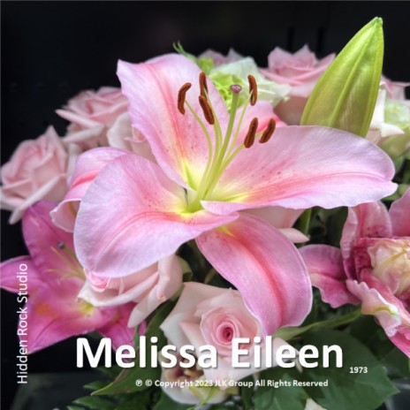 Melissa Eileen | Boomplay Music