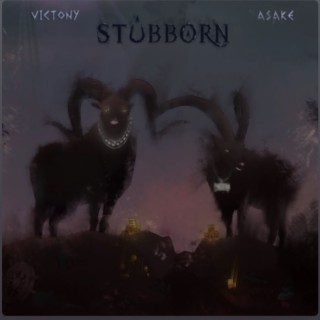 Victony - Stubborn ft Asaka