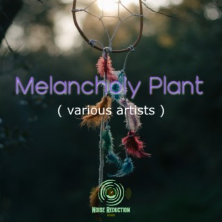 Melancholy Plant