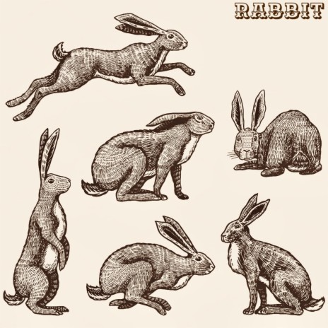 RABBIT (Radio Edit)